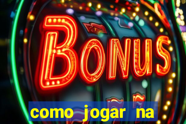 como jogar na lotinha do jogo do bicho